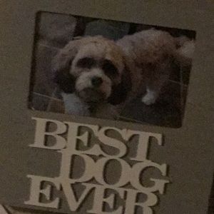 Meet your Posher, Lucy